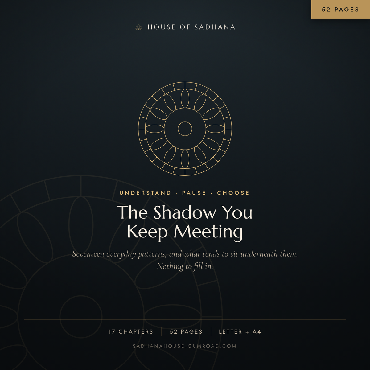 The Shadow You Keep Meeting — A Guide to the Patterns Behind Your Reactions